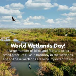World Wetlands day graphic