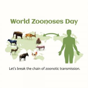 World Zoonoses Day graphic