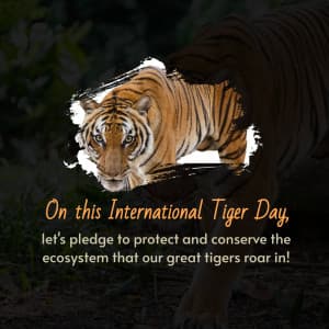 International Tiger Day festival image