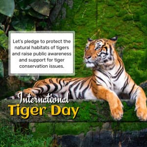 International Tiger Day ad post