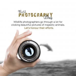 World Photography Day ad post