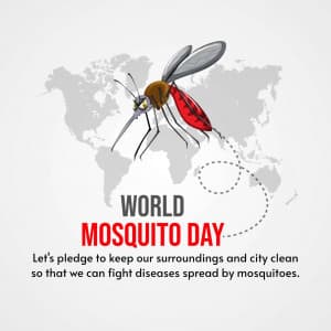 World Mosquito Day graphic