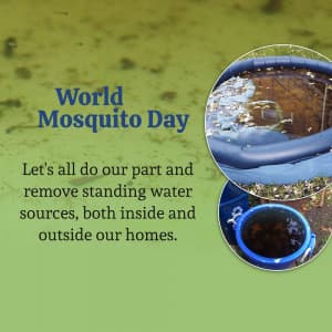 World Mosquito Day video