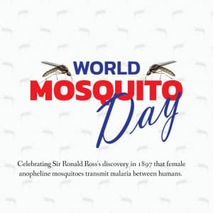 World Mosquito Day image
