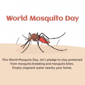 World Mosquito Day flyer