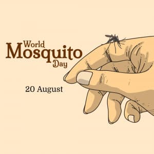 World Mosquito Day post