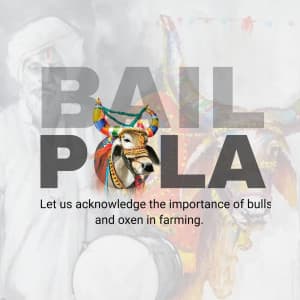 Bail Pola banner