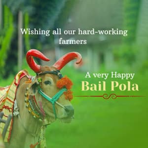 Bail Pola event poster