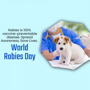 World Rabies Day Instagram Post
