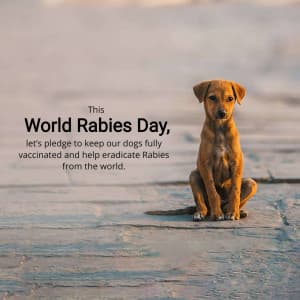 World Rabies Day graphic