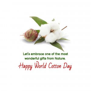 World Cotton Day Instagram Post