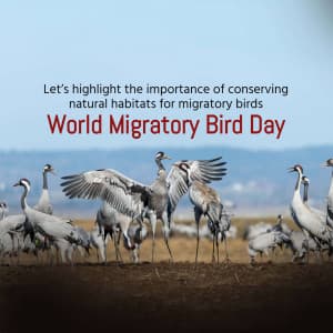 World Migratory Bird Day festival image