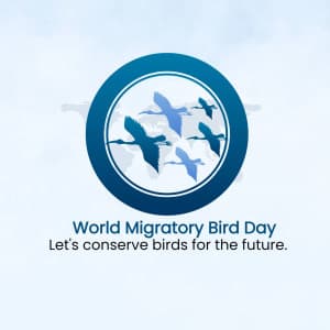 World Migratory Bird Day ad post