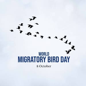 World Migratory Bird Day marketing poster