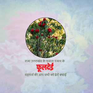 Phool Dei graphic