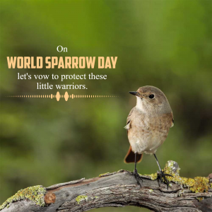 World Sparrow Day greeting image