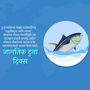 World Tuna Day festival image