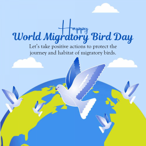 World Migratory Bird Day creative image