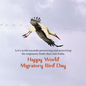 World Migratory Bird Day whatsapp status poster