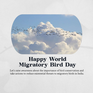 World Migratory Bird Day Facebook Poster