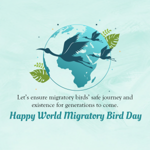 World Migratory Bird Day Instagram Post