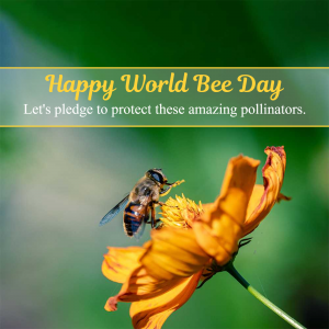World Bee Day event advertisement