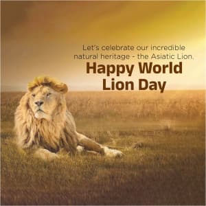 World Lion Day post