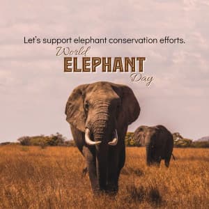 World Elephant Day creative image
