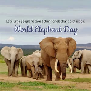 World Elephant Day whatsapp status poster