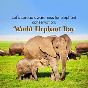 World Elephant Day Facebook Poster