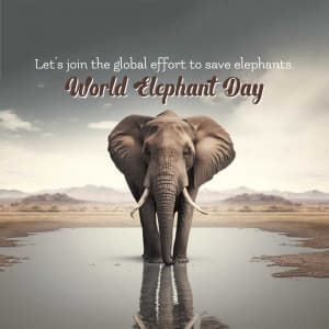 World Elephant Day Instagram Post