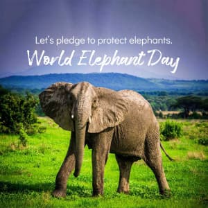 World Elephant Day poster Maker