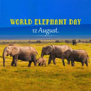 World Elephant Day event advertisement