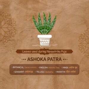 9 Leaves used during Navpatrika Puja template