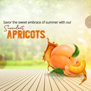 Apricot flyer