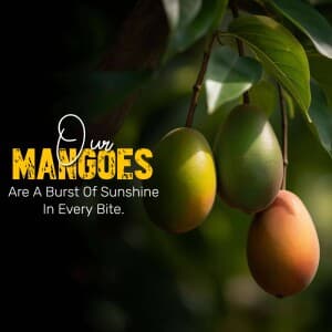 Mango video