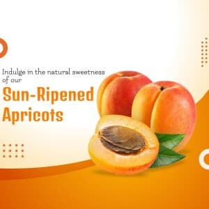 Apricot image