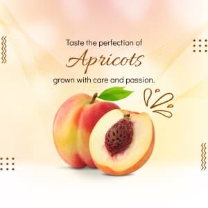 Apricot banner