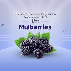 Mulberry banner