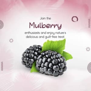 Mulberry poster