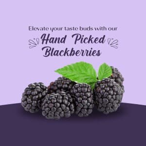 Blackberry image