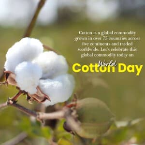 World Cotton Day banner