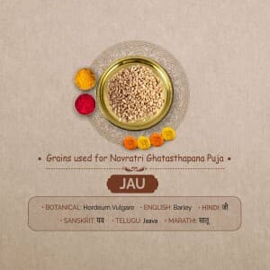 7 Grains for Ghatasthapana Puja in Navratri Instagram banner