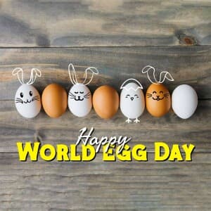 World Egg Day image