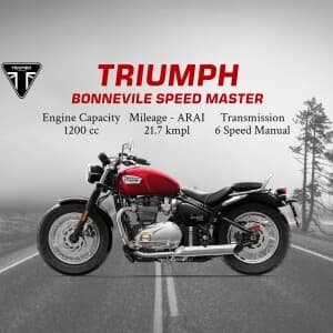 Triumph business flyer