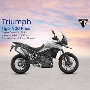 Triumph banner