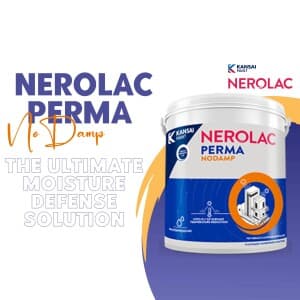 Nerolac Paints post