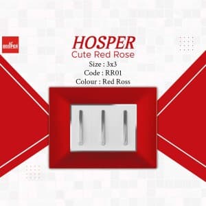 Hosper business flyer