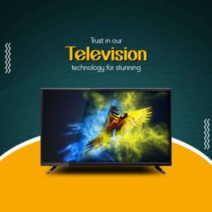 Television business template