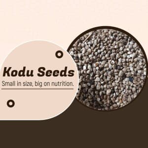 Seeds and Grains business flyer